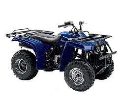 YFM250 Bear Tracker (1999-2000) YFM250 Bear Tracker (1999-2000)